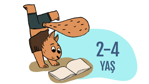 2-4 Yaş